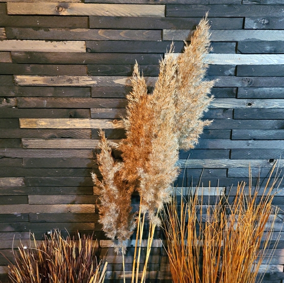 8 boho pampas grass stems 3.5 ft stems